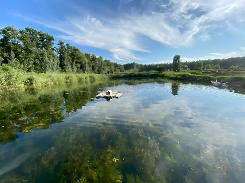 雄安新区白洋淀水域修复工程项目.jpg